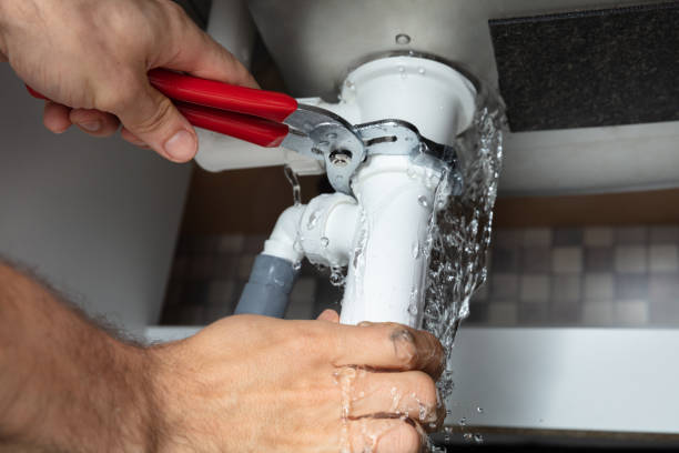 Best Flooded house restoration  in Ripon, CA