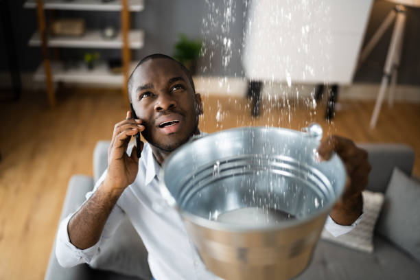 Best Fire Damage Restoration  in Ripon, CA
