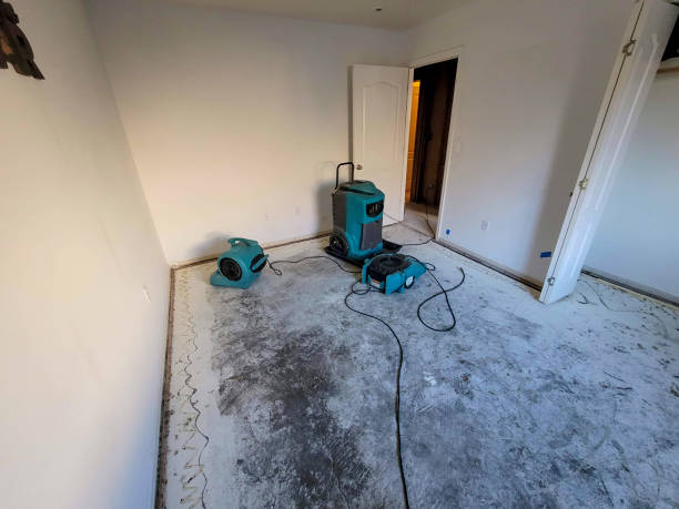Best 24/7 water damage repair  in Ripon, CA