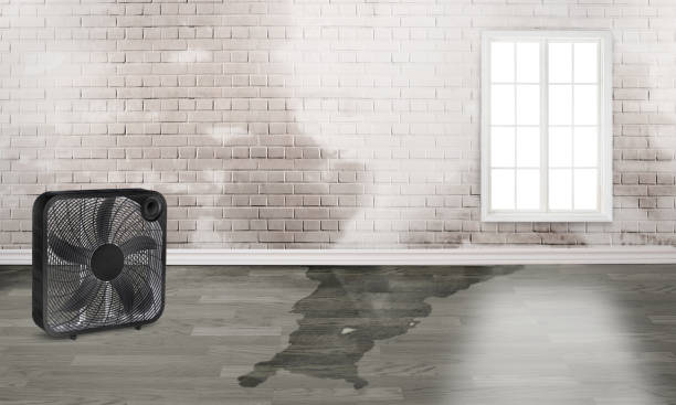 Best Flood damage cleanup  in Ripon, CA