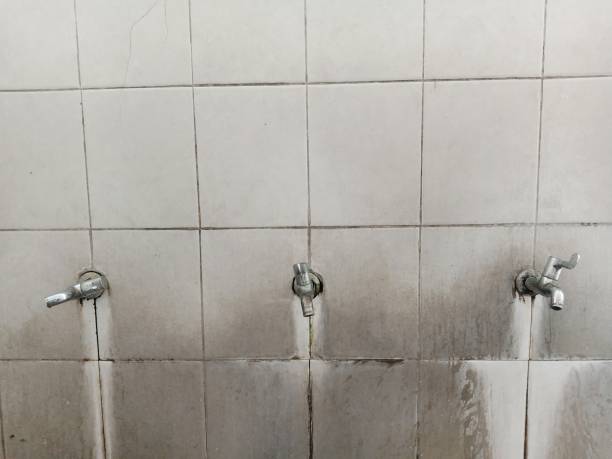 Best Water damage restoration cost  in Ripon, CA