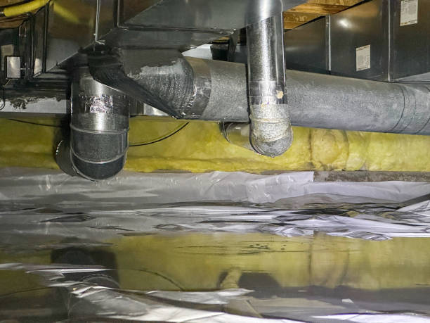 Best Water damage cleanup near me  in Ripon, CA