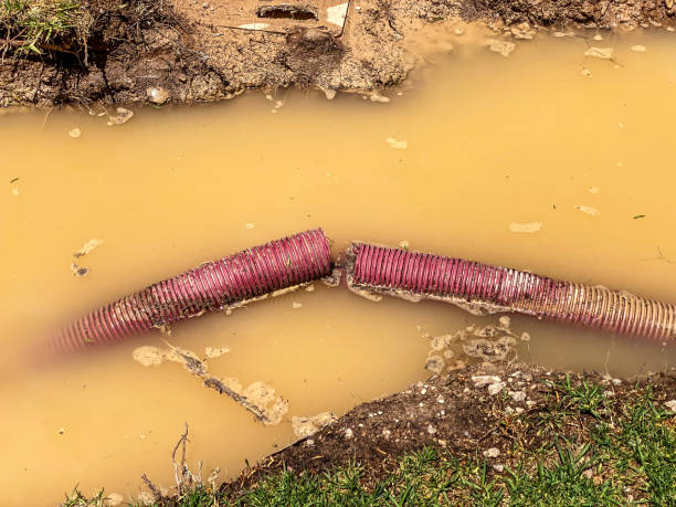 Best Professional water damage repair  in Ripon, CA