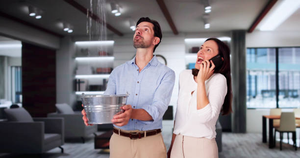 Best 24-hour water damage restoration  in Ripon, CA