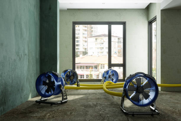 Best Water damage mitigation services  in Ripon, CA